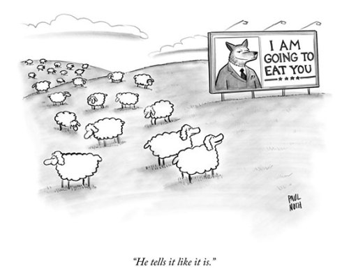 paul-noth_sheep
