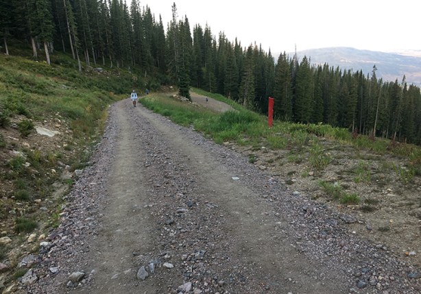 Storm Peak Challenge Trail (Run Rabbit Run)