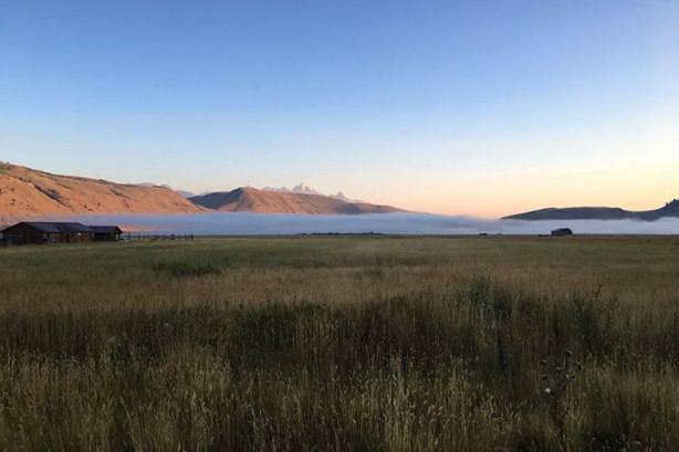 Mile 1 Jackson Hole Marathon - National Elk Refuge