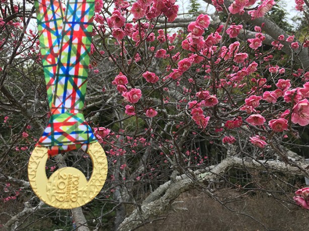 Tokyo Marathon medal against cherry blossoms