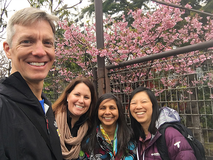Spotting cherry blossoms in Tokyo