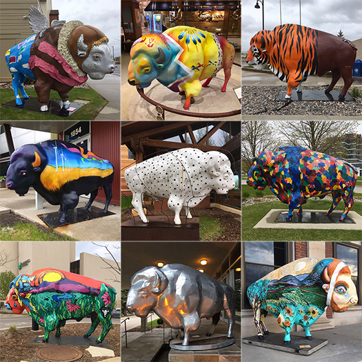 Mike Sohaskey's collage of bison statues in downtown Fargo, from Herd About the Prairie